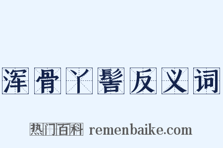 浑骨丫髻反义词是什么意思的图片